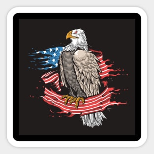 American eagle Sticker